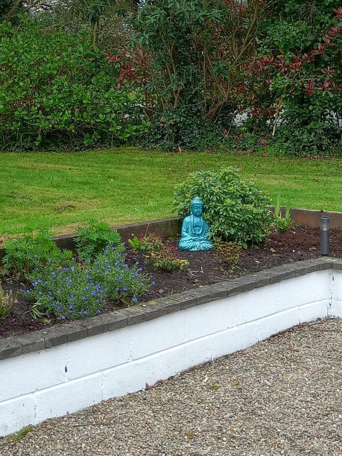 Applelea House Bed & Breakfast Rosslare Harbour Exterior foto
