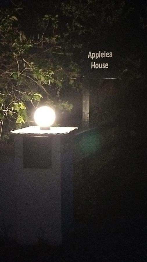 Applelea House Bed & Breakfast Rosslare Harbour Exterior foto
